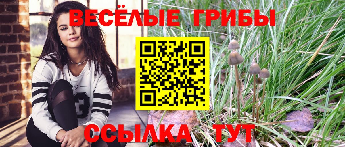 Псилоцибиновые грибы Magic Shrooms  Вход с VPN  Псилоцибиновые грибы мухоморы  Тутаев 