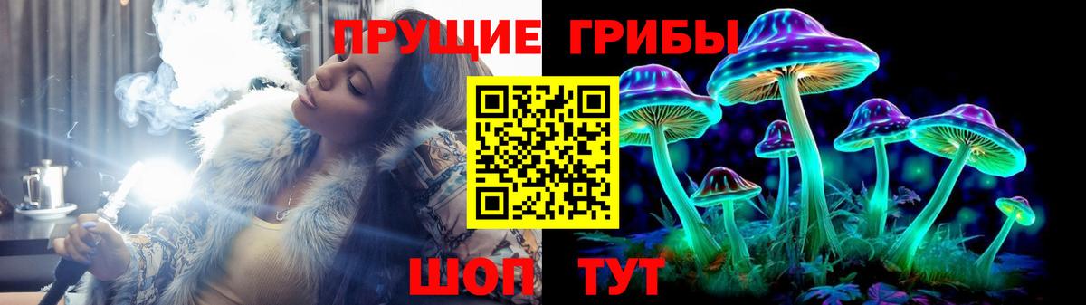Псилоцибиновые грибы прущие грибы Тутаев